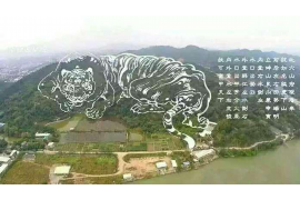 情感分析师黄，洞察人心，解析情感迷局